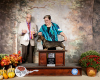 Dachshund Wire #8 Sun BOB Ch Judge Robert Frost