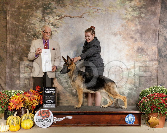 German Shepherd Dog #10 G4 Judge Robert Frost__SR_1066-Cntn2019-HR3