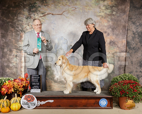 Golden Retriever #20 Sun OHG3 Judge Dr Donald Gill__SR_0990-Cntn2019-HR3