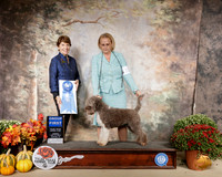 Logotto #6 Sun G1 Judge Sue Goldberg