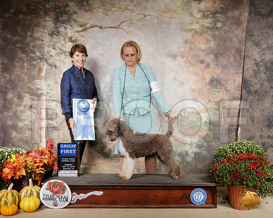 Logotto #6 Sun G1 Judge Sue Goldberg__SR_1023-Cntn2019-HR3
