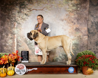Mastiff #7 Sun OHG2 Donnell Richards