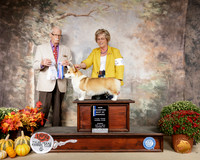 Pembroke Welsh Corgi #8 Sun BOW Ch Judge Robert Frost