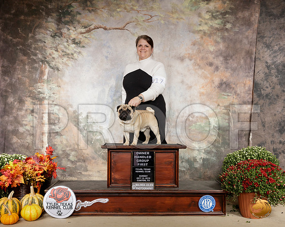 Pug #17 Sun OHG1 Judge Del Richards__SR_1034-Cntn2019-HR3