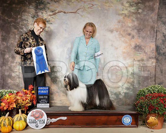 Tibetan Terrier #5 Sun BIS Judge Pat Hastings__SR_1073-Cntn2019-HR3