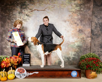 Treeing Walker Coonhound #6 Sun G3 Judge Donnell Richards