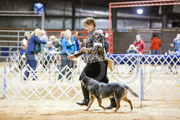 _JN_4593-2-GlenRoseJan2015-HR3