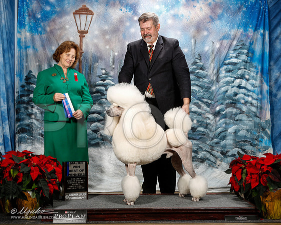 _ST_8284-2-DallasDec2014-HR3