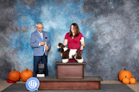 Cocker Spaniel Party Color #6 BOBBOW Judge Tim Catterson