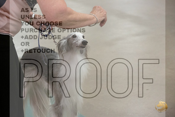 Silken Windhound # Ringside Sat_JJL_3817_LongviewTX_2024_HR3