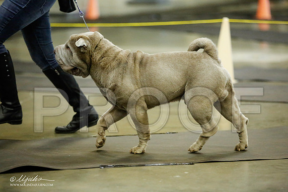 _JJ_5730-BeltonJan2015IABCA-HR3