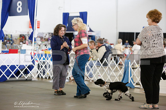 _JN_8642-DallasJul2014-HR3