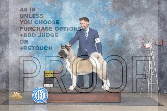 Akita #6 Thurs G3 Judge Denise Dean__JP_5008_Amarillo_2024_HR3