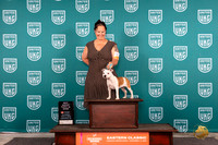 Staffordshire Bull Terrier #402 Sat PBIS Judge William Chrazanowski