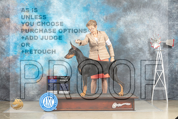 Doberman PInscher #5 Fri WDBOW Judge Sharon Derrick_MJ_3881_Amarillo_2022_HR3