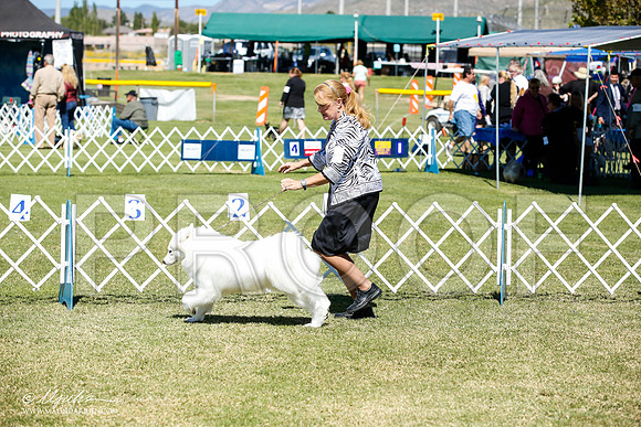_JN_5225-AlamogordoOct2014-HR3