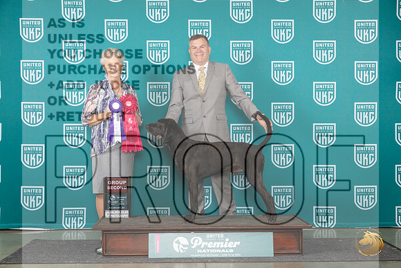 Plott #277 Sat G2 Judge Diane Price__JP_2303_Premier_2024_HR3