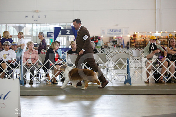 _JJ_2976-DallasJul2014-HR3
