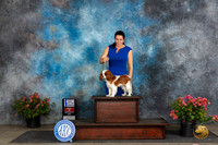 Cavalier King Charles Spaniel #9 Fri WDBOWBOS Judge Polly (Mrs Robert) D Smith