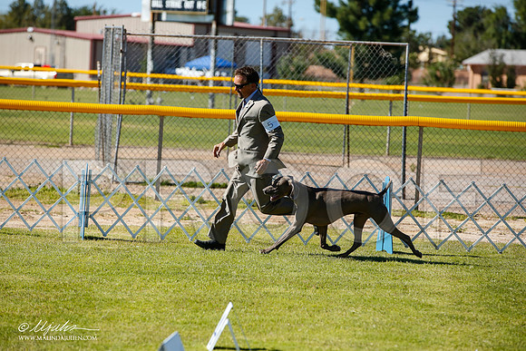 _JN_7369-AlamogordoOct2014-HR3