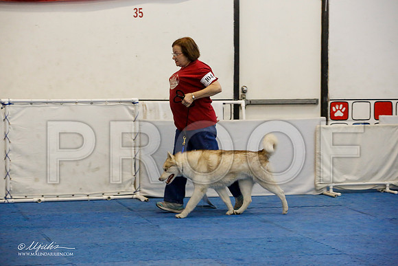 _M3_7630-AddisonHuskyMar2015-HR3
