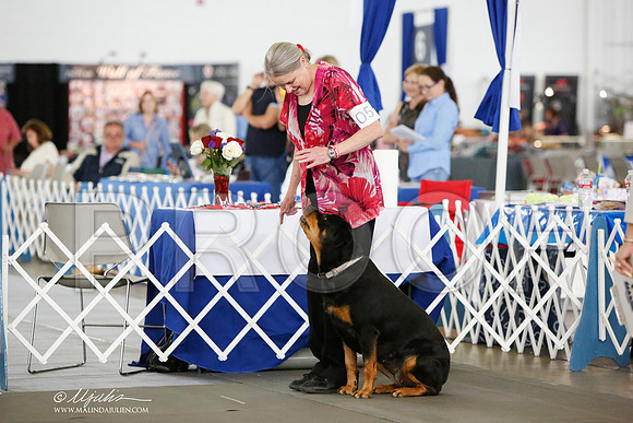 _JN_8236-DallasJul2014-HR3