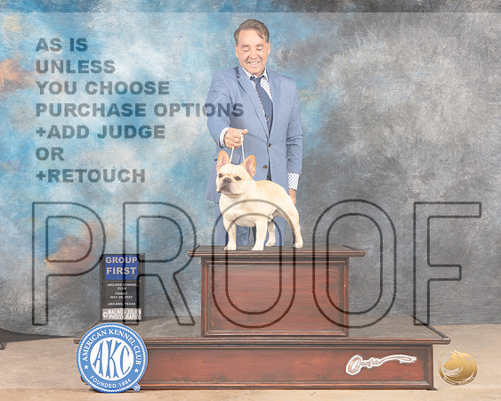 French Bulldog #7 Fri G1 Judge Thomason Stanfield Jr-MMJ_3460-Addison2022-HR3