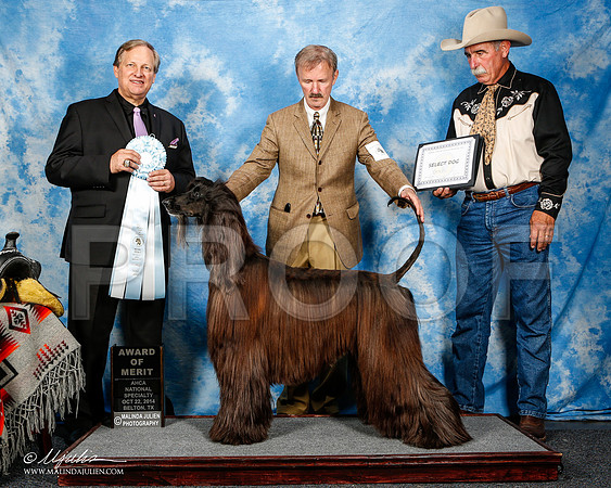 _ST_4582-2-AfgBeltonOct2014-HR3