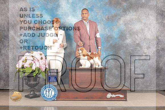 Cavalier King Charles Spaniel #12 Sat SB Judge Linda Hurlebaus_MJ_7083_Houston_2022_HR3