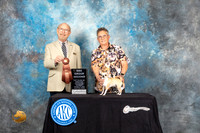 Chihuahua Smooth Coat BBEG2 Judge Tim Robbins