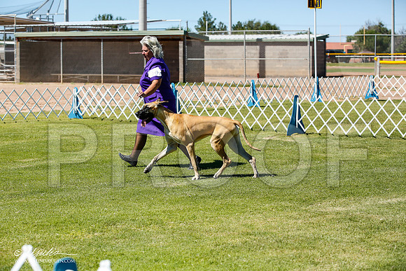 _JN_6391-AlamogordoOct2014-HR3