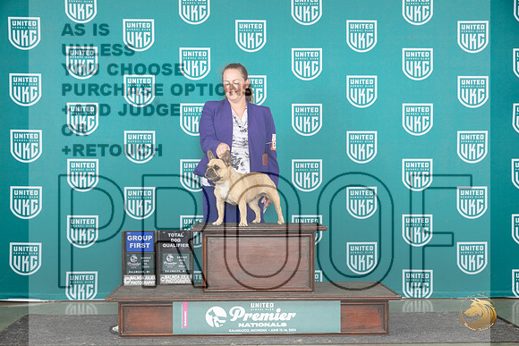 French Bulldog #1473 Sun G1TD Judge Stephanie Mueller__JP_3204_Premier_2024_HR3