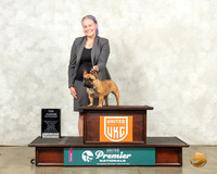 French Bulldog #1205 Thurs Top10Jr