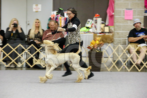 _JJ_8118-AfgBeltonOct2014-HR3