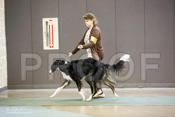 _JN_4534-BeltonJan2015-HR3
