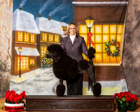 Standard Poodle Sat Stephanie Cooper CUSTOM