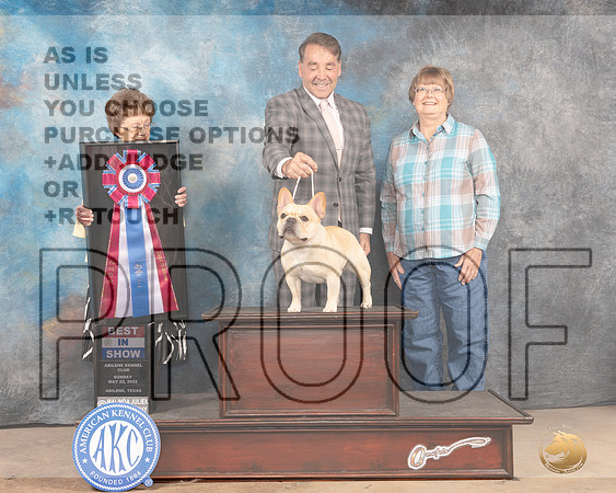 French Bulldog #7 Sun BIS Judge Pat Trotter-MMJ_5202-Abilene2022-HR3