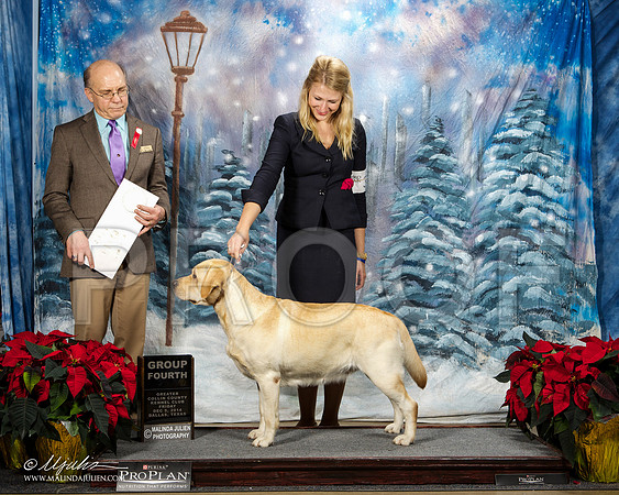 _ST_8278-DallasDec2014-HR3