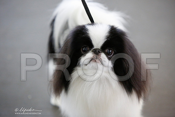 _JJ_3257-DallasJul2014-HR3