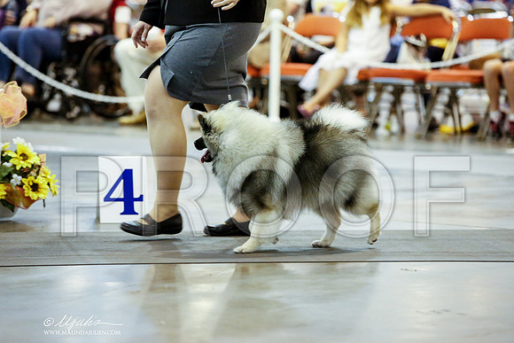 _JJ_5455-HstnJul2014-HR3