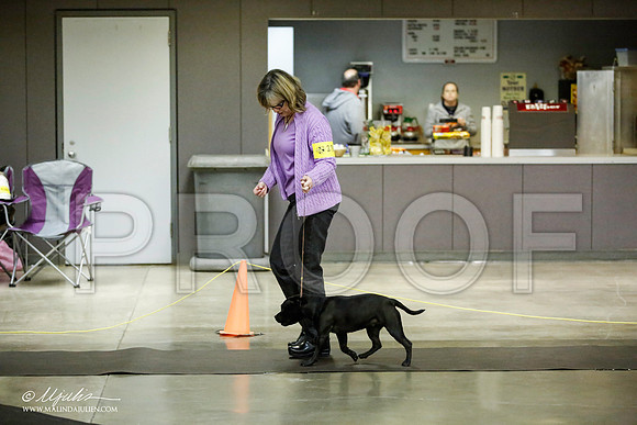 _JJ_5998-BeltonJan2015IABCA-HR3