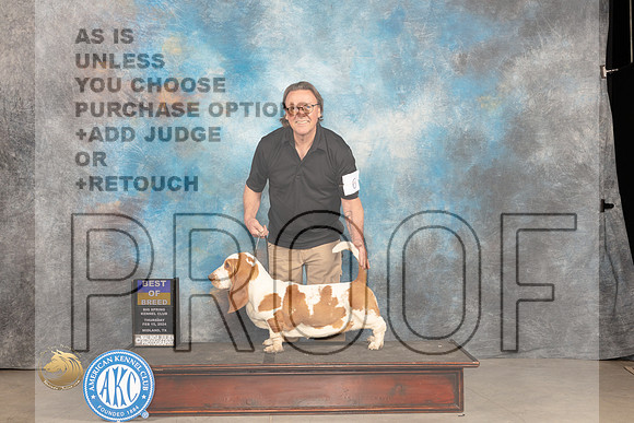 Basset Hound #6 Thur BOB Judge Tim Robbins_JP_0056_MIDLAND2024_HR3