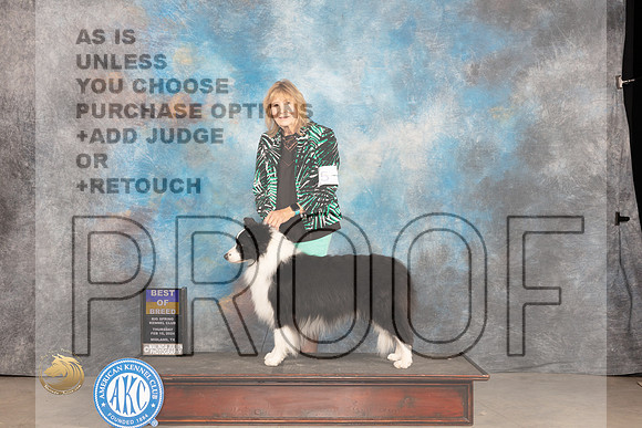 Border Collie #5 Thur BOB Judge Del Richards_JP_0036_MIDLAND2024_HR3