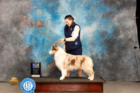 Border Collie @11 Thur WDBOW Judge Del Richards
