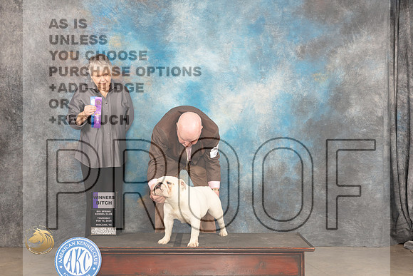 Bulldog #20 Thur WB Judge Sara Black_JP_3082_MIDLAND2024_HR3
