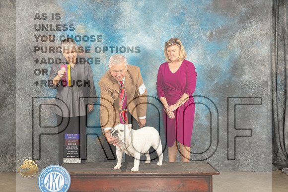Bulldog #12 Thur BOBOHBOB Judge Sara Black_JP_3091_MIDLAND2024_HR3