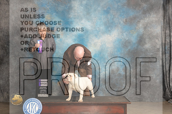 Bulldog #20 Thur WB Judge Sara Black_JP_3084_MIDLAND2024_HR3