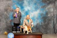 Bulldog #5 Thur BPBOW Judge Sara Black