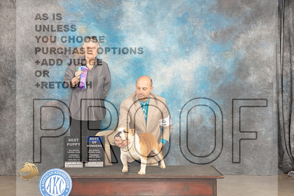 Bulldog #5 Thur BPBOW Judge Sara Black_JP_3078_MIDLAND2024_HR3