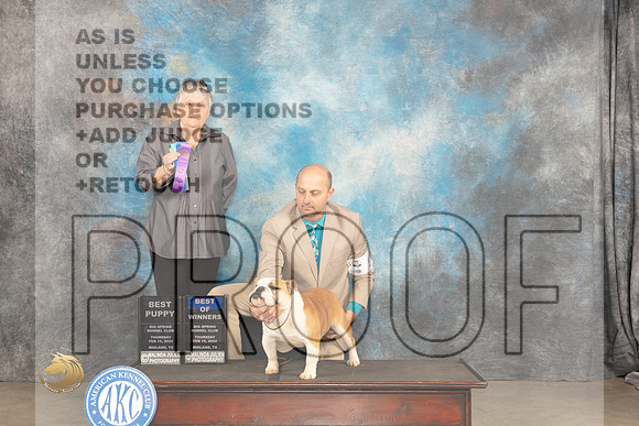 Bulldog #5 Thur BPBOW Judge Sara Black_JP_3080_MIDLAND2024_HR3